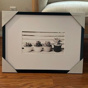 Succulent photo with black frame
